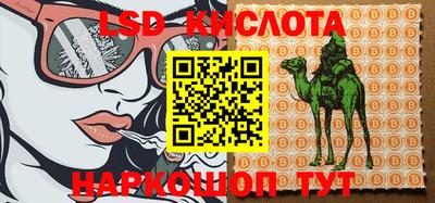 PSILOCYBIN Заводоуковск