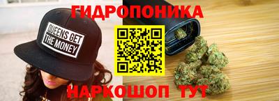 PSILOCYBIN Заводоуковск