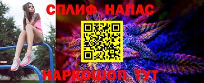 PSILOCYBIN Заводоуковск