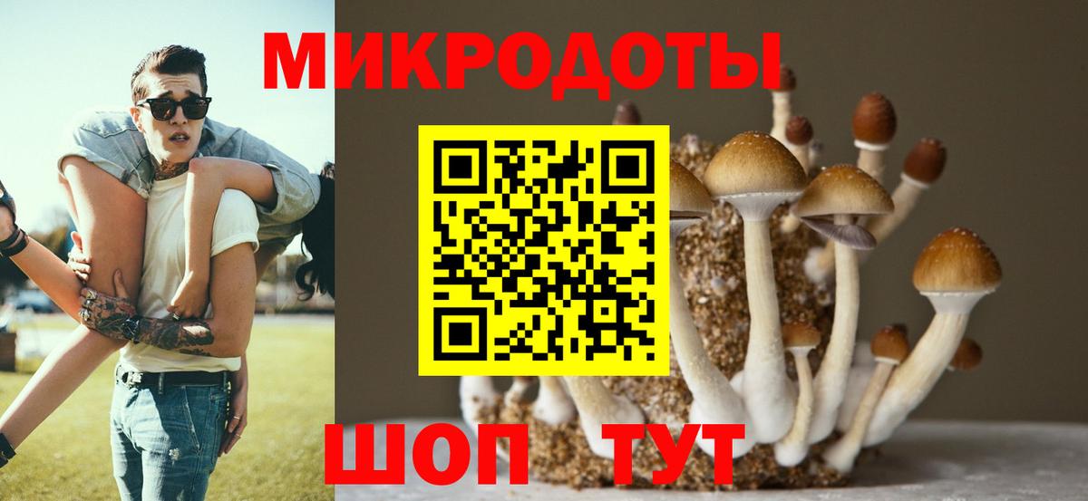 Галлюциногенные грибы мицелий  Вход с VPN  Галлюциногенные грибы прущие грибы  Ливны 